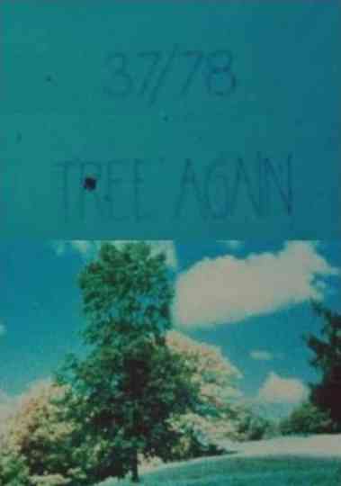 3778 Tree Again