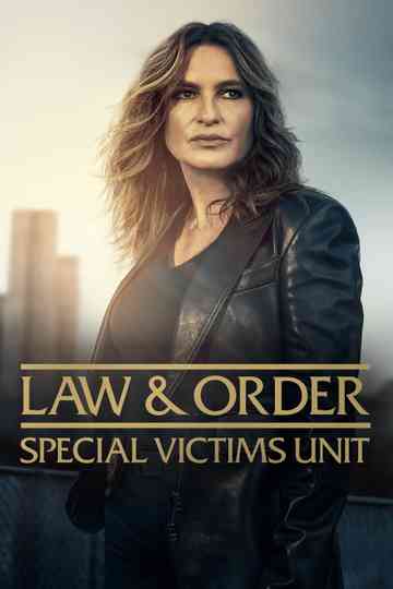 Law & Order: Special Victims Unit Poster