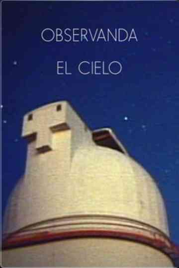 Observando el cielo Poster