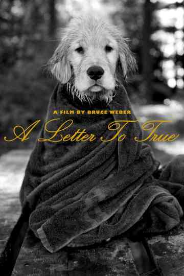 A Letter to True Poster
