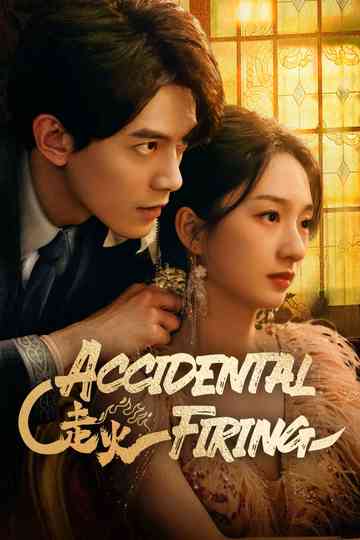 Accidental Firing poster