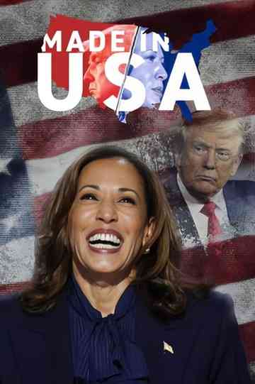 Made in USA Poster