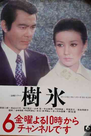 Frost-Covered Trees Poster