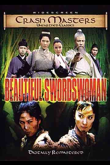 Beautiful Swordswoman Poster