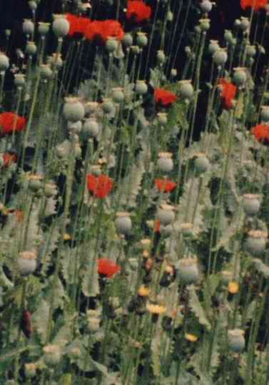 Place of Work Poster