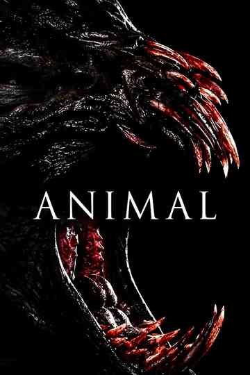 Animal Poster