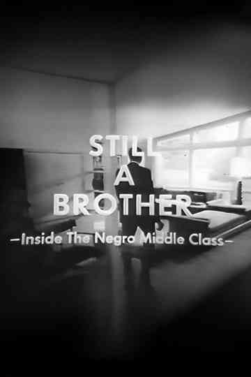 Still A Brother: Inside the Negro Middle Class Poster