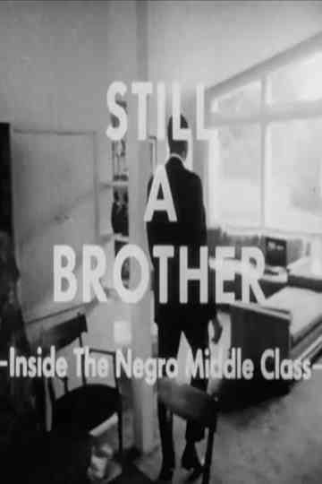 Still A Brother Inside the Negro Middle Class Poster