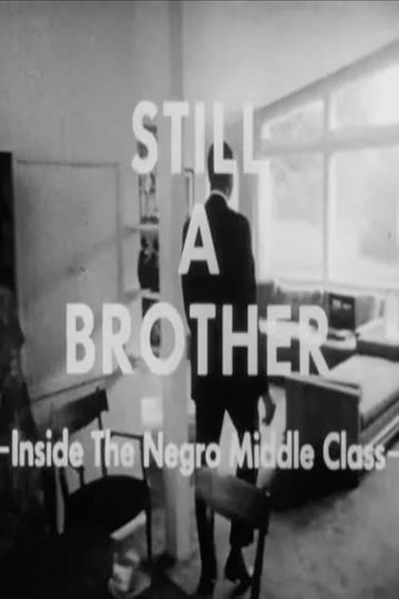Still A Brother Inside the Negro Middle Class