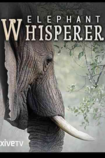 Elephant Whisperer Poster