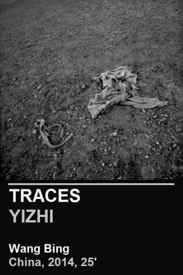 Traces Poster