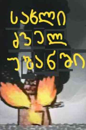 House in the Old District Poster