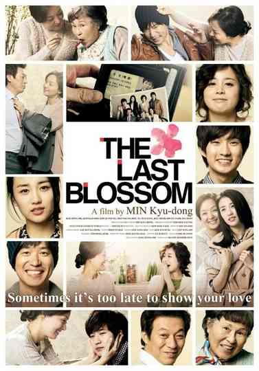 The Last Blossom Poster