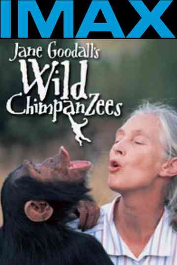 Jane Goodalls Wild Chimpanzees Poster
