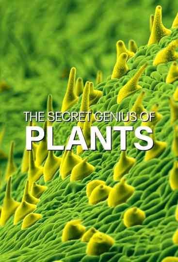 The Secret Genius of Plants poster