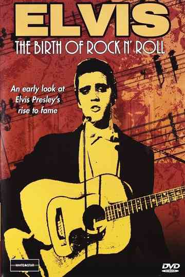 Elvis The Birth of Rock N Roll Poster