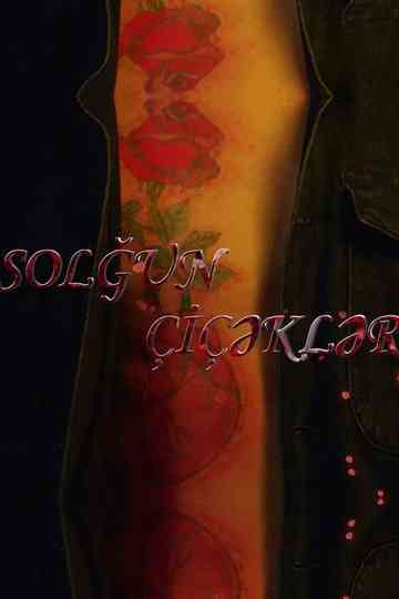 Faded Flowers Poster