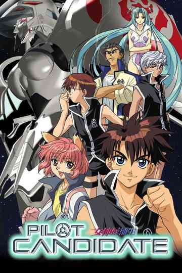 Pilot Candidate poster