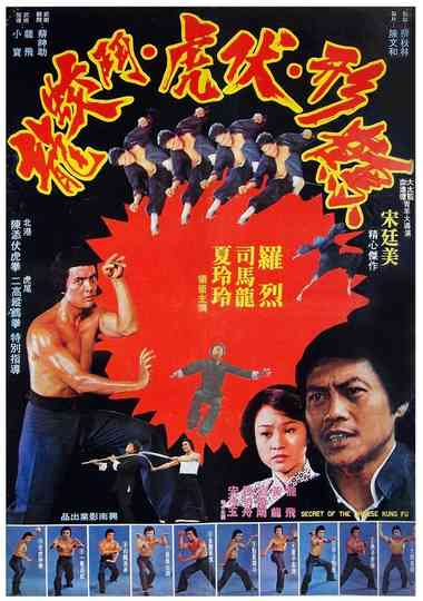 Secret of Chinese Kung Fu Poster