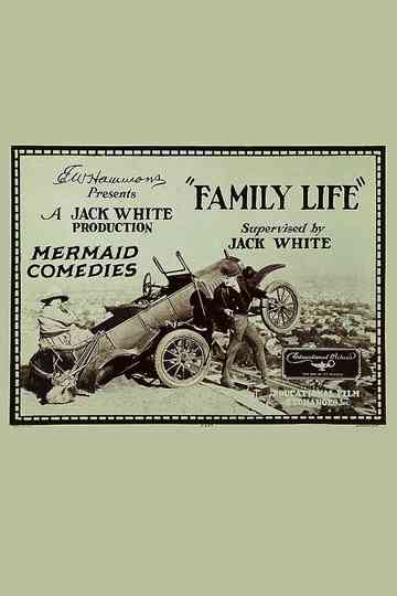 Family Life Poster