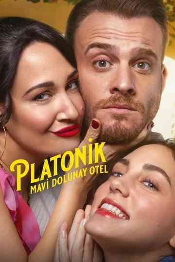 Platonic Poster