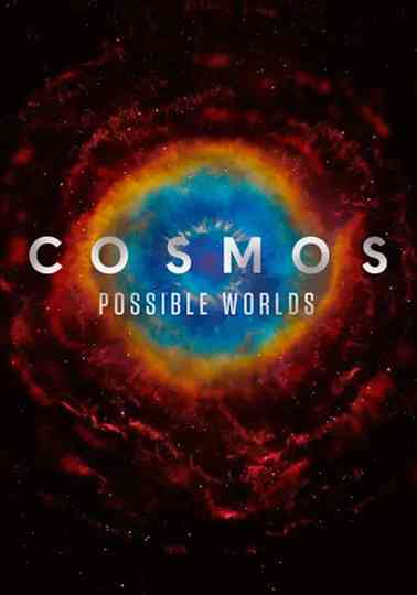 Cosmos Poster