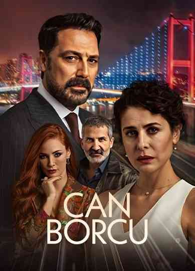 Hidden Destiny Poster