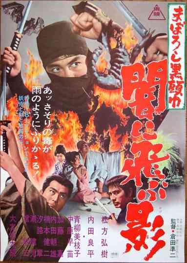 Black Ninja Poster