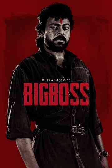 Big Boss Poster