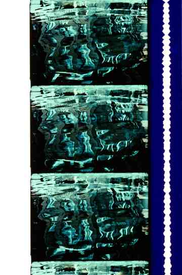 Autumn Spectrum Poster