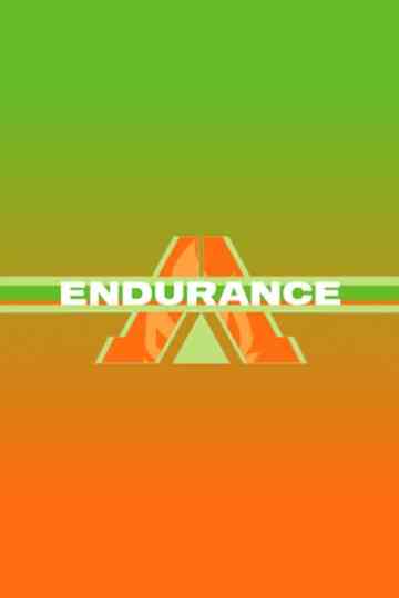 Endurance Poster