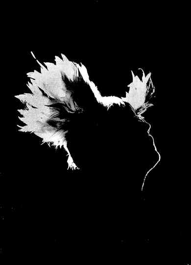 M - Les saisons de passage Poster