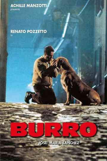 Burro Poster