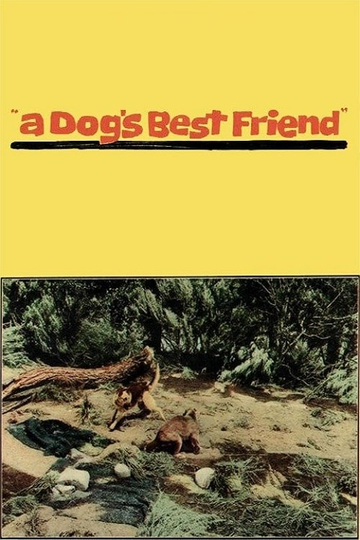 A Dogs Best Friend