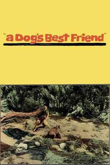 A Dogs Best Friend Poster