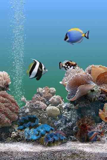 Coral Dreamscapes An Exotic Aquarium Poster