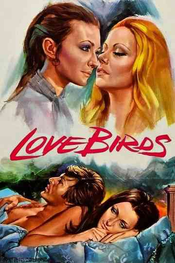 Love Birds Poster