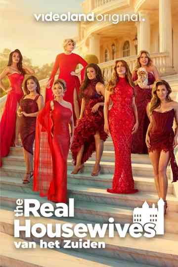 The Real Housewives van het Zuiden Poster