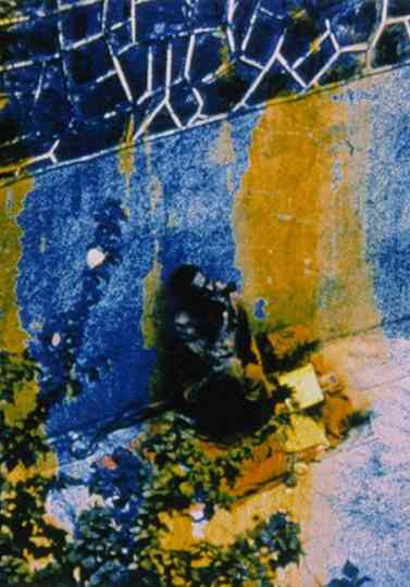 Friendly Witness Poster