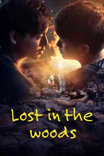 Lost in the Woods poster
