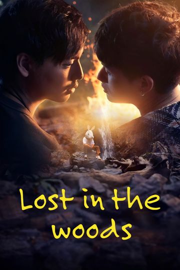 Lost in the Woods