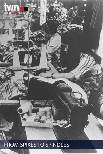 From Spikes to Spindles Poster