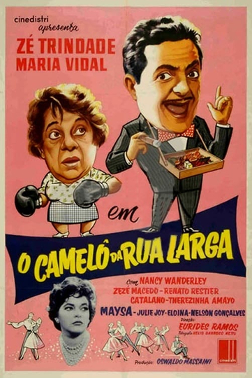 O Camelô da Rua Larga Poster