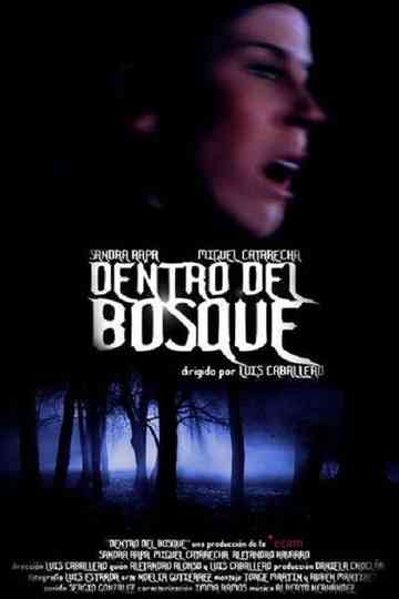 Dentro del bosque Poster