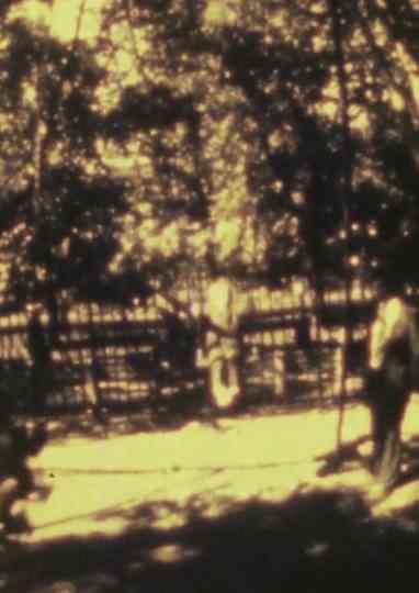 Harmful or Fatal if Swallowed Poster