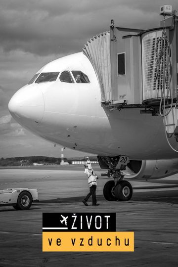 Život ve vzduchu