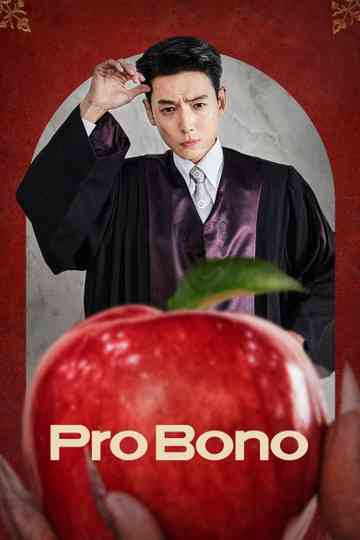 Pro Bono Poster