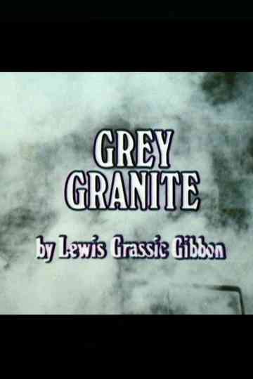 Grey Granite Poster