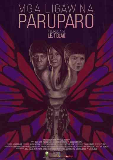 Wandering Butterflies Poster