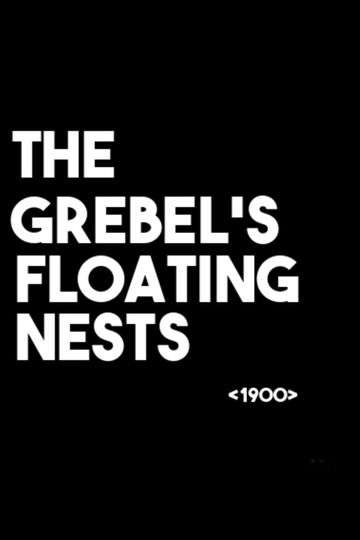 The Grebel's Floating Nests